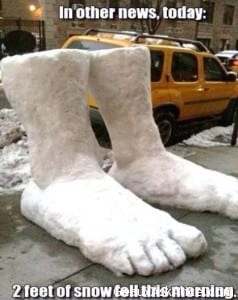 Need to hunker down this week-maybe we will get two feet of sneaux!!!!!