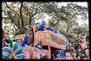 Big or Small start searching for those fabulous Mardi Gras Parades!