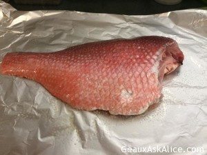 Red Snapper