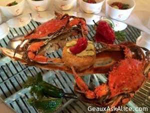 All the wonderful appetizers in the first category to judge! Fabulous! 1