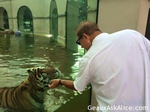 Les Miles and Mike The Tiger