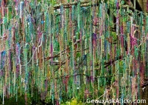 how to decorate your home or yard for Mardi Gras!1