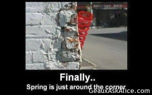 Spring