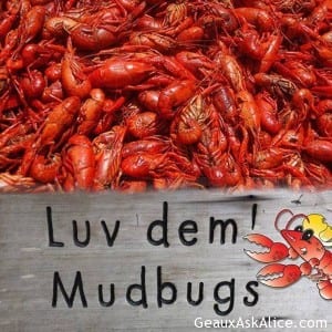 They can run but can't HIDE!