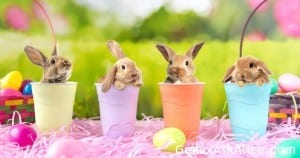 They r thinking we r safe today! It is the eggs that get dyed!