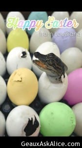 Yep our Easter Eggs look like this!