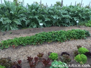 Had a first time adventure today-Olive Oil Tasting at Round Pond! 2