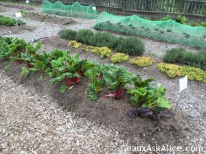 Had a first time adventure today-Olive Oil Tasting at Round Pond! 3