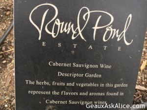 Had a first time adventure today-Olive Oil Tasting at Round Pond!