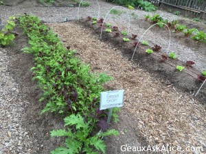 Had a first time adventure today-Olive Oil Tasting at Round Pond! 4
