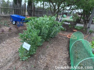 Had a first time adventure today-Olive Oil Tasting at Round Pond! 5