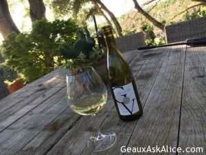 Outside enjoying the beautiful weather and surroundings