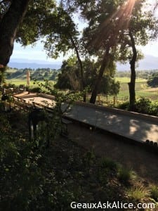 Outside enjoying the beautiful weather and surroundings1