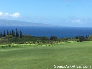 Golfing action for Pat and Craig2