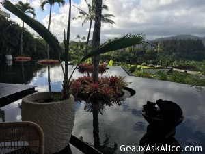 Last morning here on Kauai. Headed to Maui. Trying to avoid the hurricane Darby Yikes