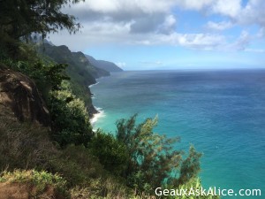 Surviving the hike in Kauai5