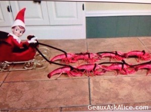 The Real Cajun Elf on the Shelf has appeared!