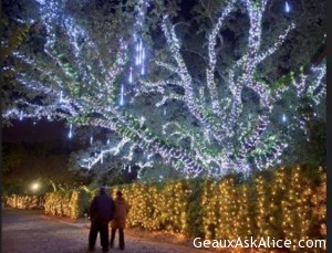 New Orleans at Christmas Time. 