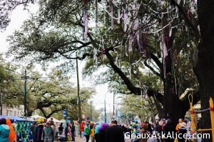 Barricades starting to go up for those marvelous Mardi Gras parades 2