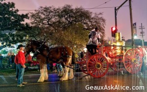 No rain can keep u from those Mardi Gras parades! 8