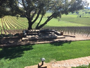 Great Winery5