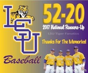 Thank you Tigers 1