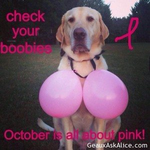 Check your boobies