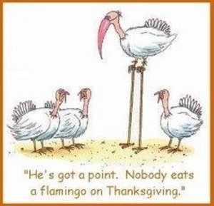 Thanksgiving Humor!