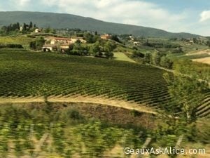 Our day trip to Tuscany area. Here is San Gimignano