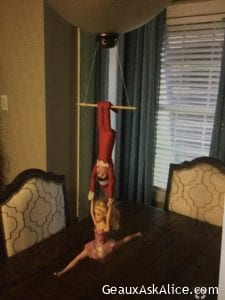 Circus Elf