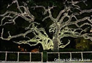 New Orleans Tree at Christmas