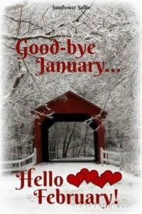 Good Bye January