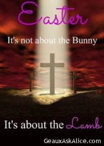 It is not about the bunny
