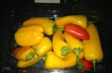 Yellow And Red Peppers.