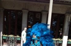 Man Dressed In Feather Costume.