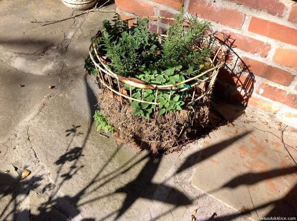 Potted Herb Baskets