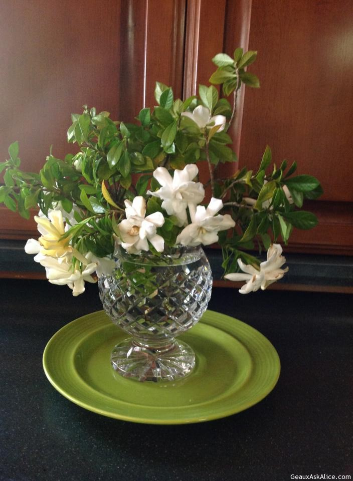 Lovely Gardenias-Next Best Thing To Sweet Peas!