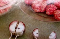 Assorted Size Meatball Scoops