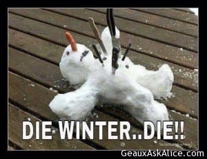 Snowman stabbed with knives!  