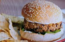 Fabulous Veggie Burger