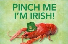 Pinch Me I'm Irish!