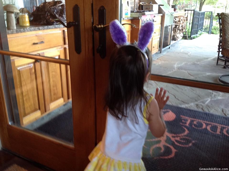 I agree Sophia! Where is that Easter Bunny when u need help cleaning up?