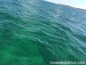 Everyone has gone fishing. Not me. Letting staff wait on me, hand and foot! Nice1