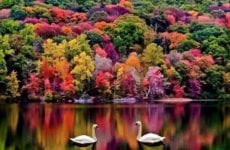 Still Beauty in the world.