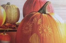 Okay Officially Fall! Come on Cool Weather-Catch Up!