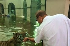 Les Miles and Mike The Tiger