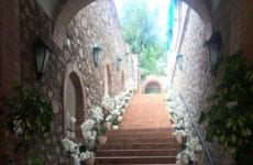 A little Afternoon Delight!