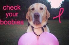 check your boobies!