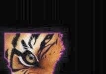 Can u feel it coming!