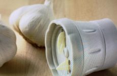 Today's Gadget from E's Kitchen is the Chef'n Garlic Slicer!